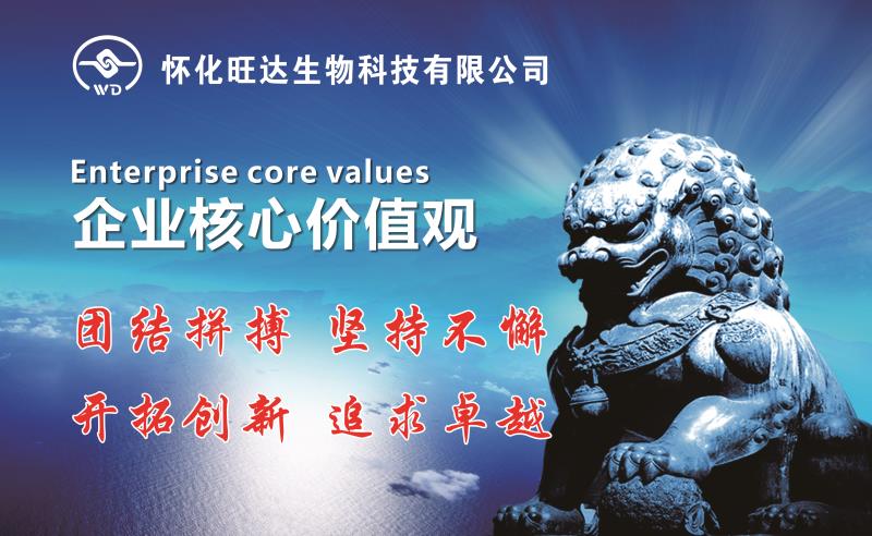 新爱体育官方网页版