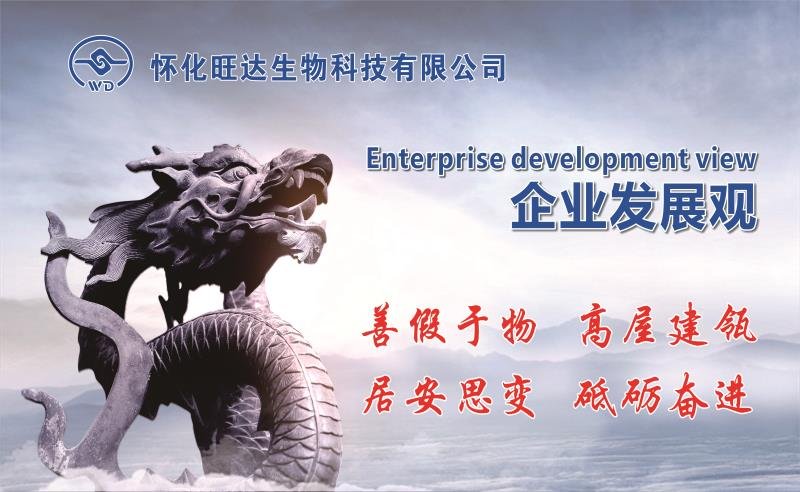 新爱体育官方网页版