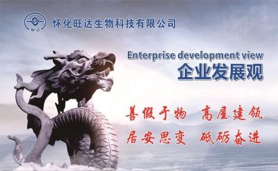 新爱体育官方网页版