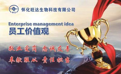 新爱体育官方网页版